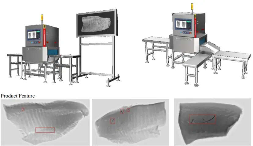 Dual Energy X-ray Technology: Advanced Bone Detection in Meat Processing